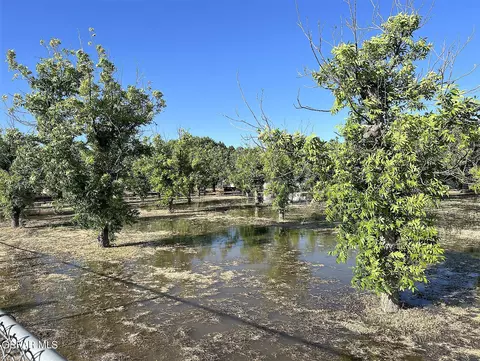 117 Lanell Dr, Canutillo, TX 79835