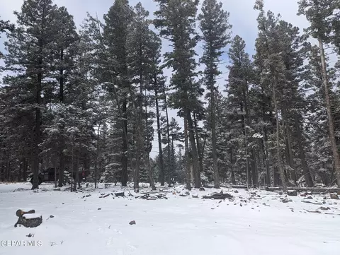 143 Big Dipper Rd, Cloudcroft, NM 88317 photo 31