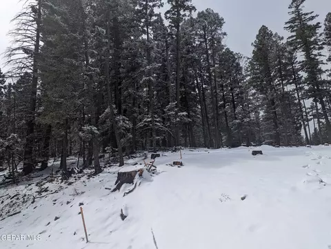 143 Big Dipper Rd, Cloudcroft, NM 88317 photo 22