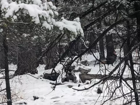 143 Big Dipper Rd, Cloudcroft, NM 88317 photo 7