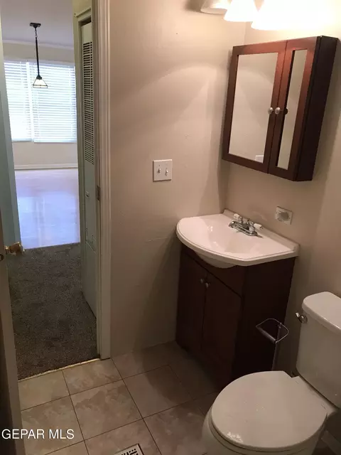 Bath - 446 San Andres Dr, Anthony, NM 88021 photo 3 of 13