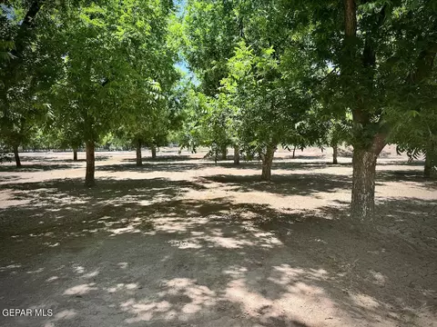 4695 Page Farm Cir, Anthony, NM 88021