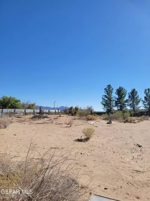 421 E Joy Dr, Anthony, NM 88021 photo 8