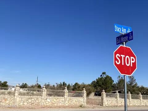 15001 Stacy Ann Dr, El Paso, TX 79938