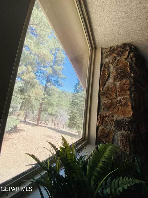 61 Ponderosa Pines Trail Trl, Cloudcroft, NM 88317 photo 20