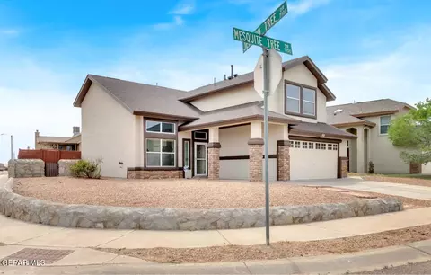 7101 Mesquite Tree Ln, El Paso, TX 79934