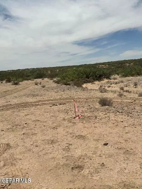 Pn-376155 Tbd, Horizon City, TX 79928