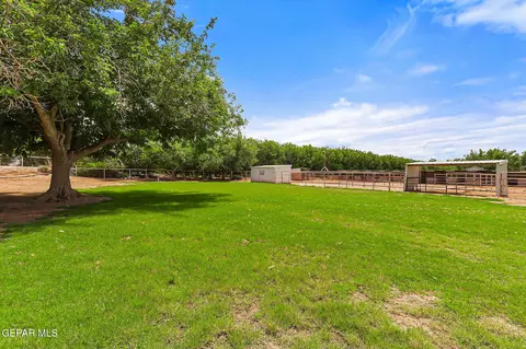 Exterior - 1624 Vinton Rd, Anthony, NM 88021 photo 12 of 20