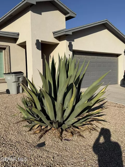 3460 David Palacio Dr, El Paso, TX 79938