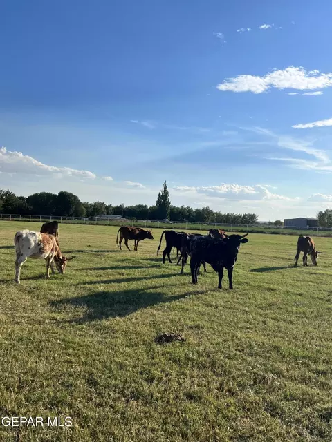 Other - 7770 Westside Rd, Anthony, TX 79821 photo 4 of 14