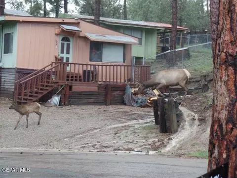 217 Juniper Rd, Ruidoso, NM 88345