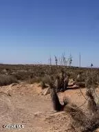 Pn-52541 Lillie Lane, Horizon City, TX 79928