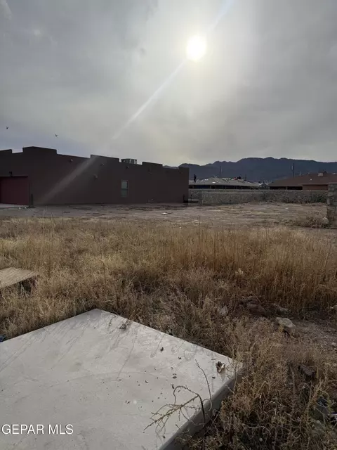 8009 Mitzie Ram Pl, El Paso, TX 79904