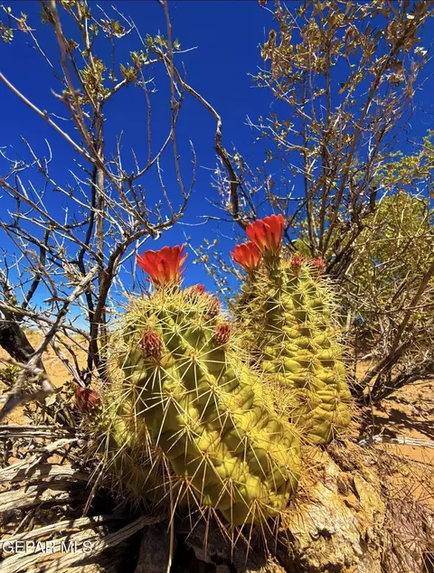 5201 Tamara Dr, El Paso, TX 79938