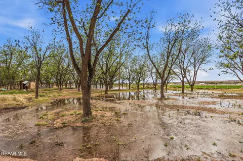 Other - 617 Wallace Rd, Anthony, NM 88021 photo 14 of 29