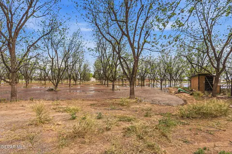 Other - 617 Wallace Rd, Anthony, NM 88021 photo 15 of 29