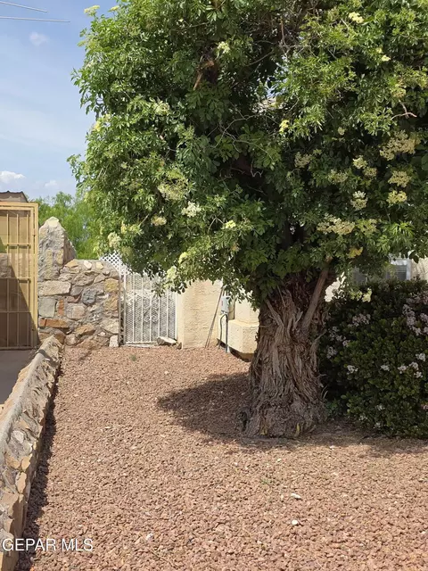7457 Plaza Taurina Dr, El Paso, TX 79912
