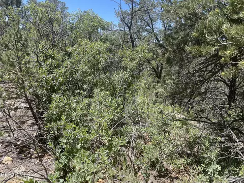 60 Canyon Rd, Timberon, NM 88350 photo 3