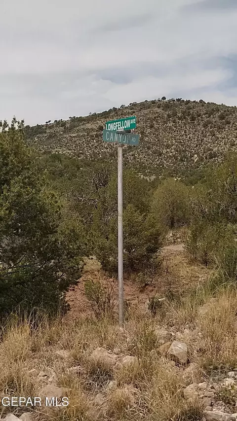 60 Canyon Rd, Timberon, NM 88350 photo 8