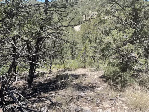 60 Canyon Rd, Timberon, NM 88350 photo 2