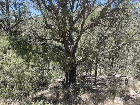 60 Canyon Rd, Timberon, NM 88350 photo 4