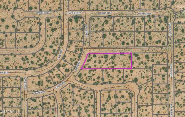 Pn333474 Cadbury Drive, Horizon City, TX 79928