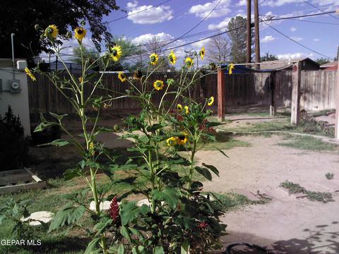 Exterior - 500 Tamarisk St, Anthony, TX 79821 photo 9 of 13