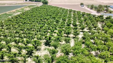 tbd Wallace Rd, Anthony, NM 88021 photo 8