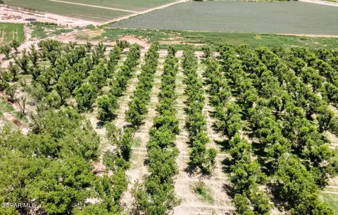 tbd Wallace Rd, Anthony, NM 88021 photo 12