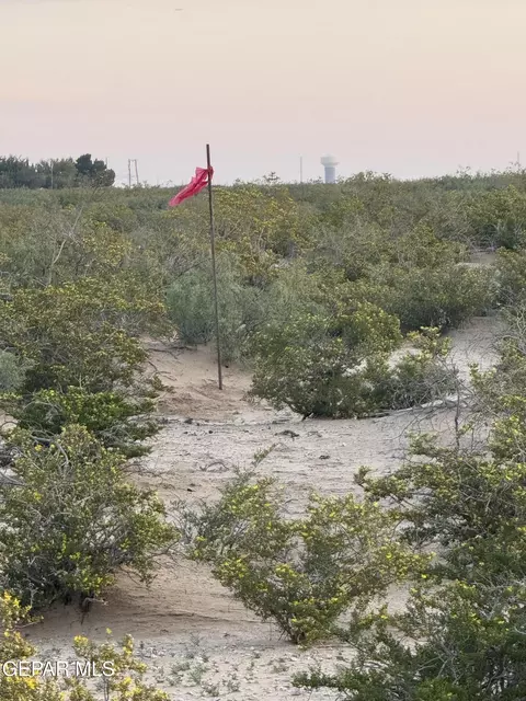 Pn233625 Mound Place, Horizon City, TX 79928