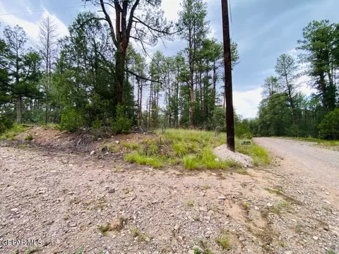 20 Pine Rd, Timberon, NM 88350 photo 15