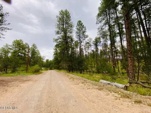 20 Pine Rd, Timberon, NM 88350 photo 14