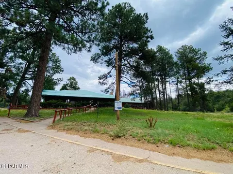 20 Pine Rd, Timberon, NM 88350 photo 9