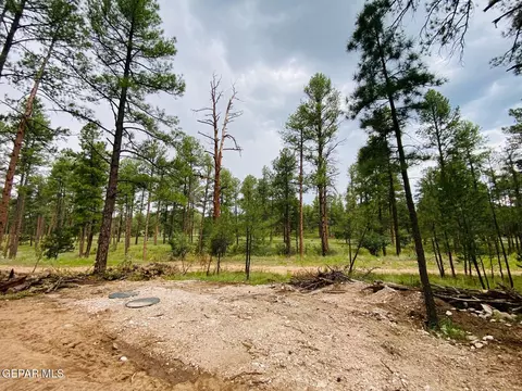 20 Pine Rd, Timberon, NM 88350 photo 2