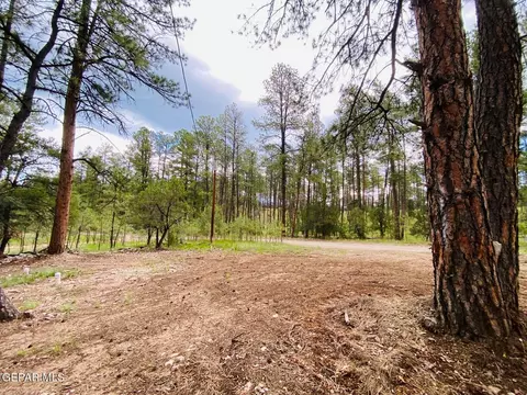 20 Pine Rd, Timberon, NM 88350 photo 8
