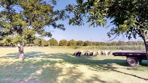 Other - 12421 N Loop Dr, Clint, TX 79836 photo 3 of 17