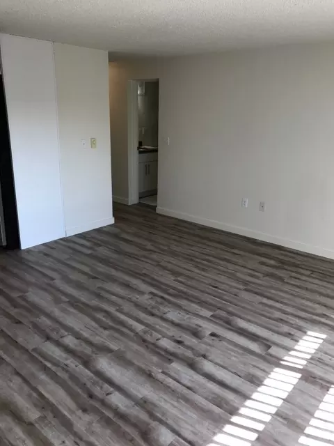 4228 SW Dawson St, Seattle, WA 98136 photo 10