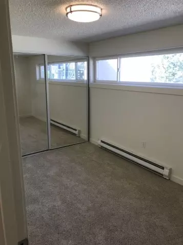 4228 SW Dawson St, Seattle, WA 98136 photo 12