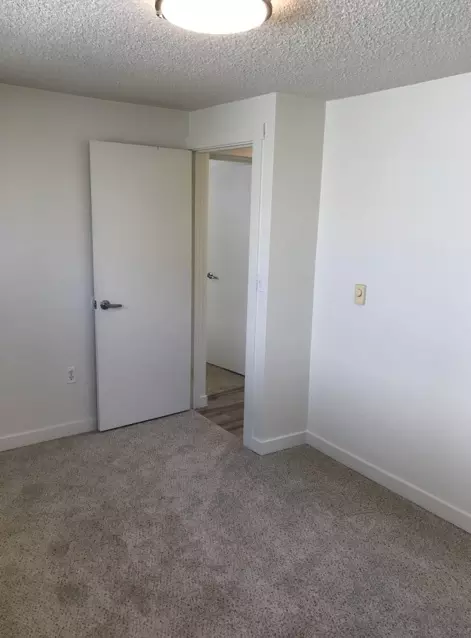 4228 SW Dawson St, Seattle, WA 98136 photo 11