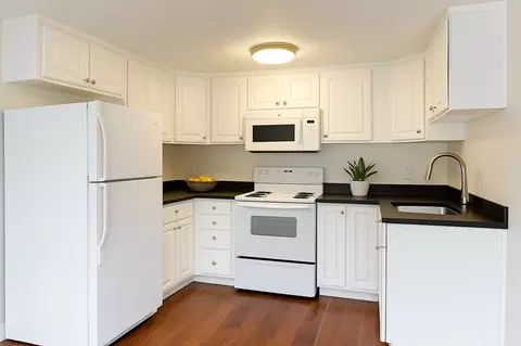 4228 SW Dawson St, Seattle, WA 98136 photo 4