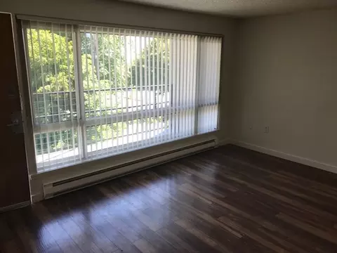 4228 SW Dawson St, Seattle, WA 98136 photo 10