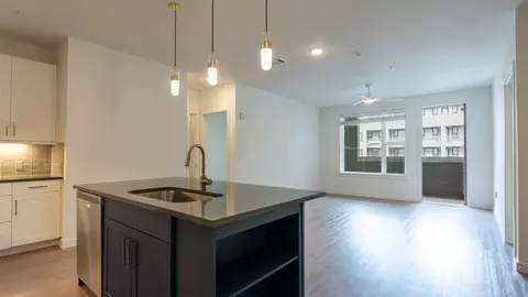 411 W Commerce St, Dallas, TX 75208 photo 19