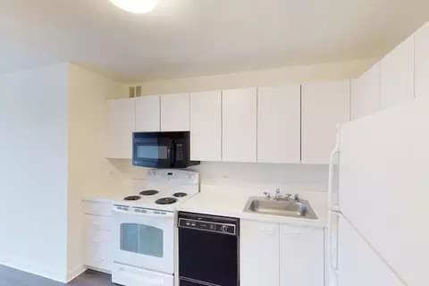 5035 S East End Ave, Chicago, IL 60615