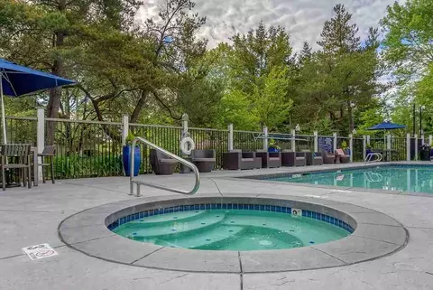 304 118th Ave SE, Bellevue, WA 98005 photo 34