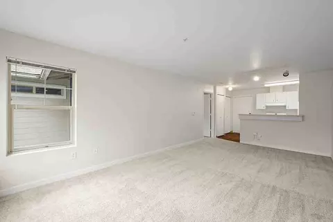 304 118th Ave SE, Bellevue, WA 98005 photo 24
