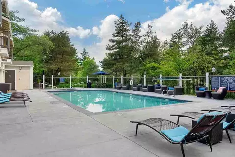 304 118th Ave SE, Bellevue, WA 98005 photo 33