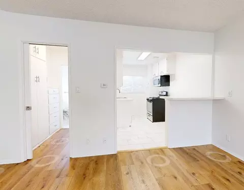 351 S Manhattan Pl, Los Angeles, CA 90020 photo 16