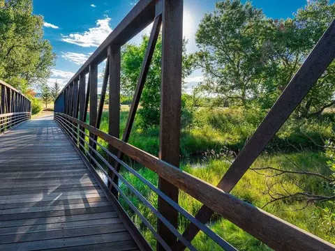 13707 Etna Dr, Parker, CO 80134 photo 43