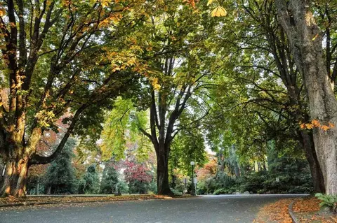 500 13th Ave E, Seattle, WA 98102 photo 23