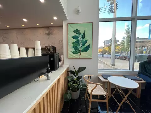 9 E Mount Royal Ave, Baltimore, MD 21202 photo 13